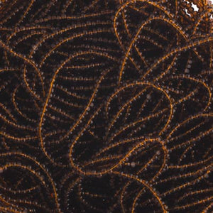 Czech Seed Bead 13/0 Cut Transparent Dark Topaz