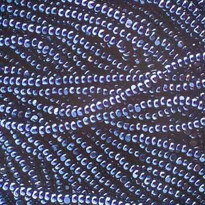 Czech Seed Bead 13/0 Cut Transparent Dark Blue Luster